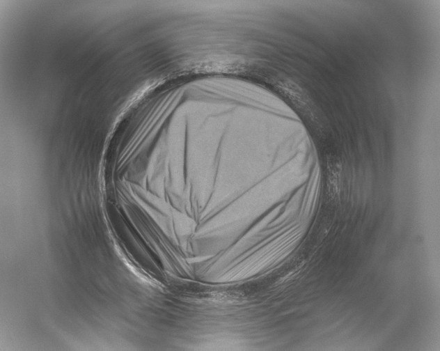 X0000053130678200508081318