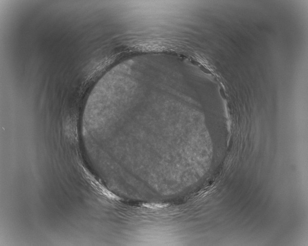 X0000053130681200508081318