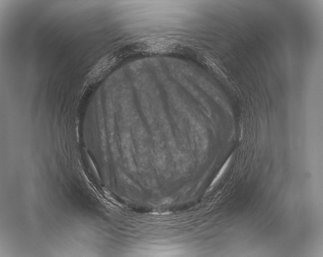 X0000053130685200508081318