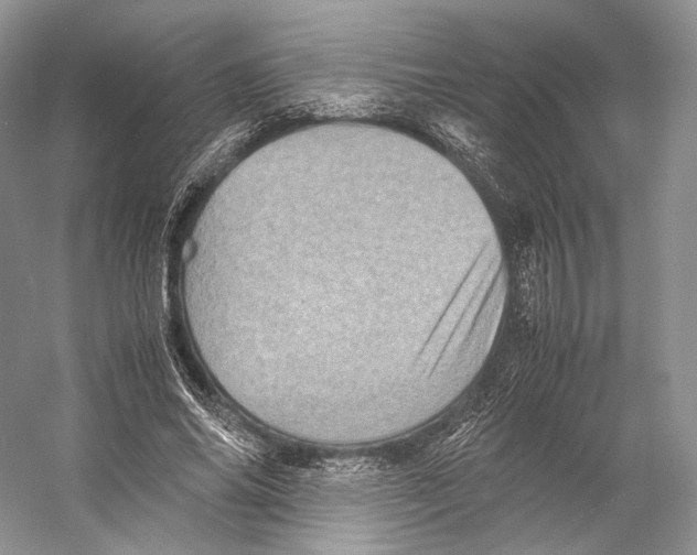 X0000053130686200508081318