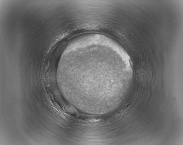 X0000053130688200508081318