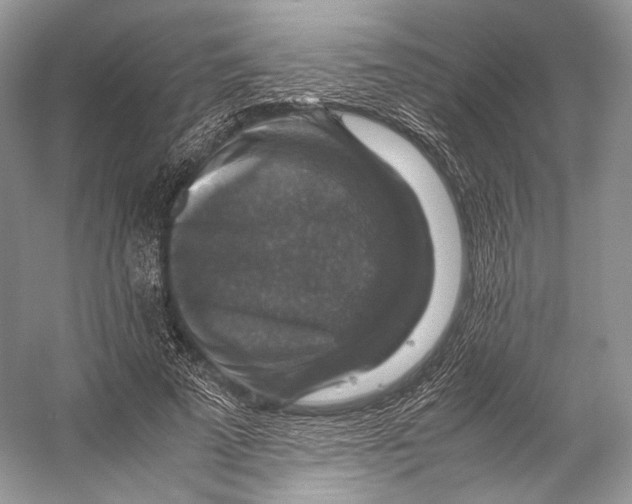X0000053130689200508081318