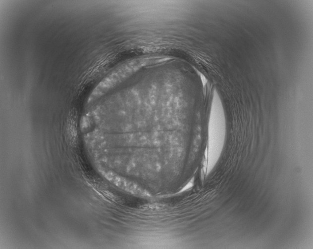 X0000053130691200508081318