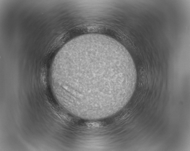 X0000053130698200508081318