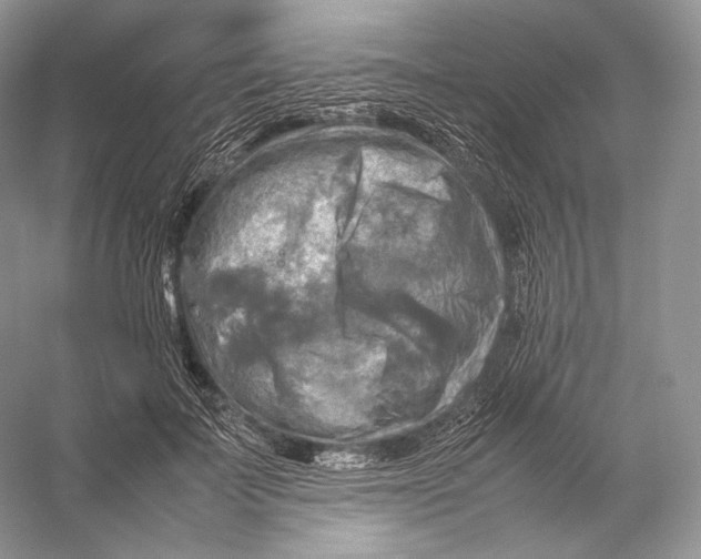X0000053130699200508081318