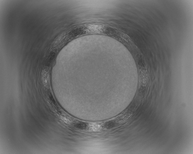 X0000053130701200508081318