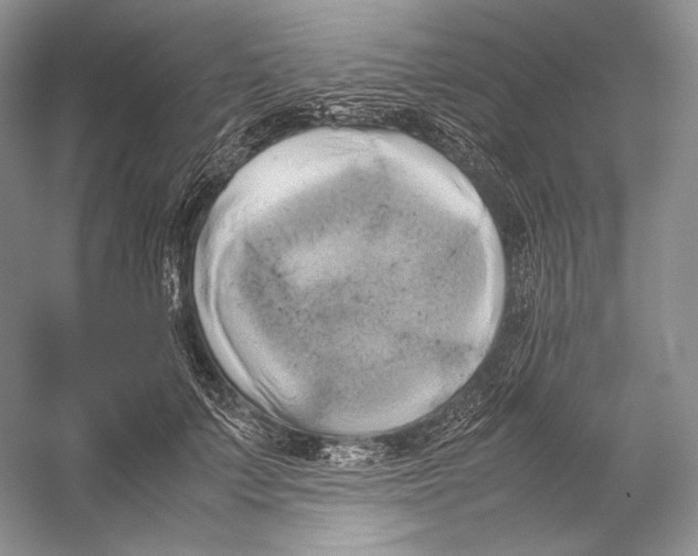 X0000053130703200508081318