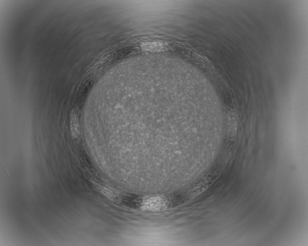 X0000053130705200508081318