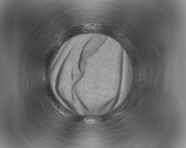 X0000053130706200508081318