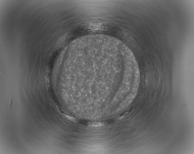 X0000053130710200508081318