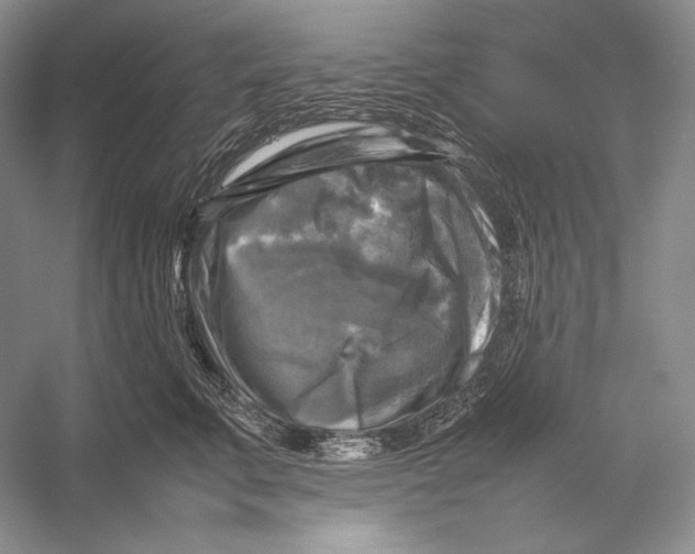 X0000053130711200508081318