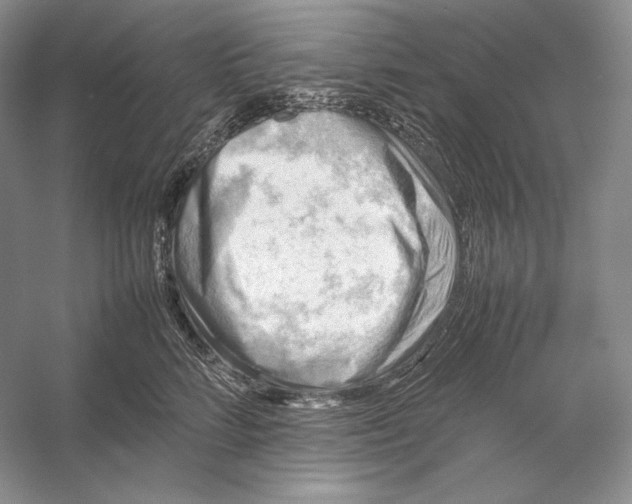 X0000053130712200508081318