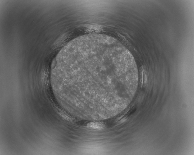 X0000053130714200508081318