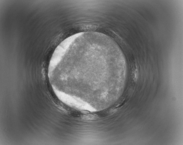 X0000053130716200508081318