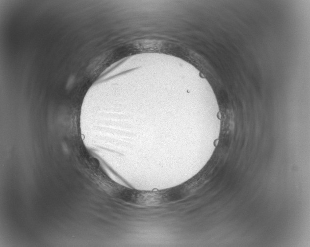 X0000053130717200508081318
