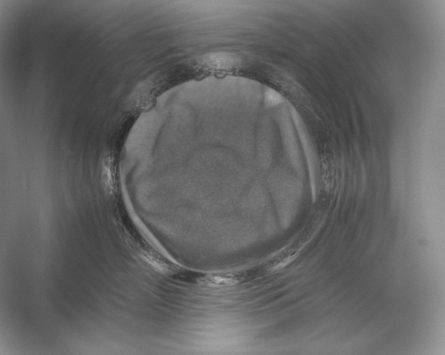 X0000053130718200508081318