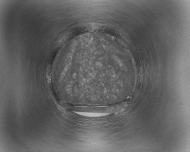 X0000053130719200508081318