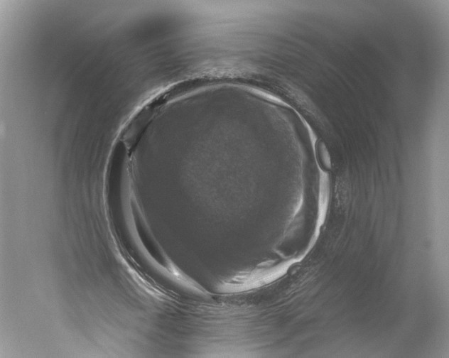 X0000053130722200508081317