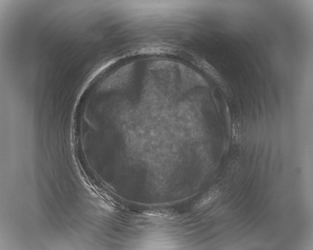 X0000053130724200508081317