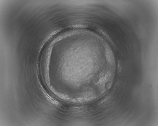 X0000053130725200508081317