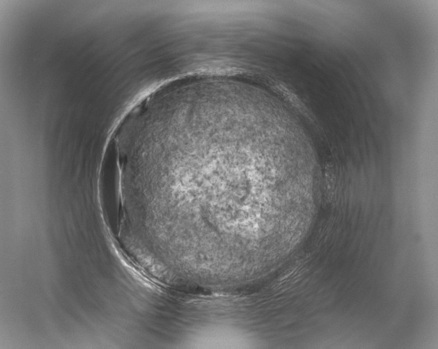 X0000053130726200508081317