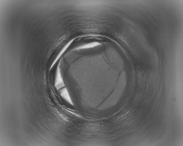 X0000053130729200508081317