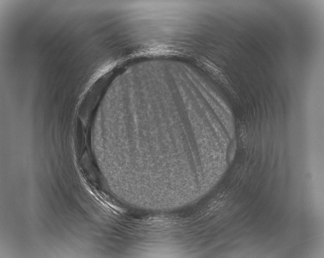 X0000053130732200508081317