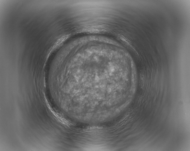 X0000053130734200508081317