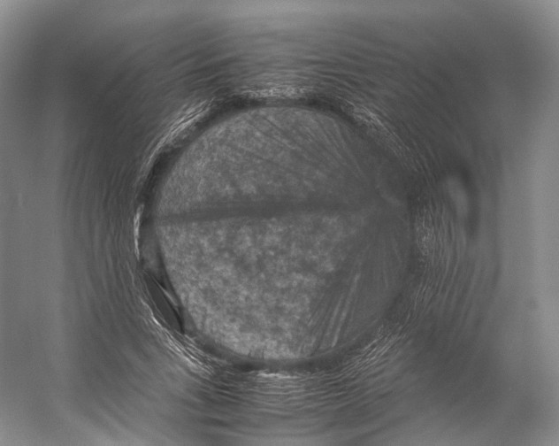 X0000053130735200508081317