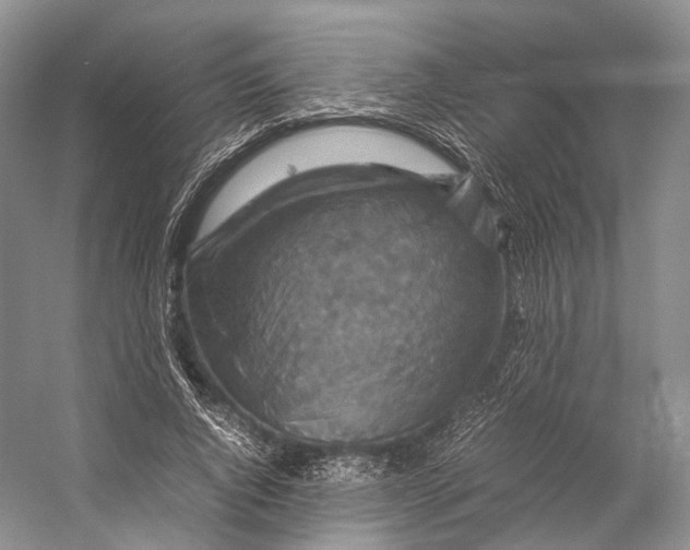 X0000053130736200508081317