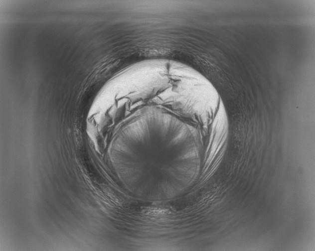 X0000053130743200508081317