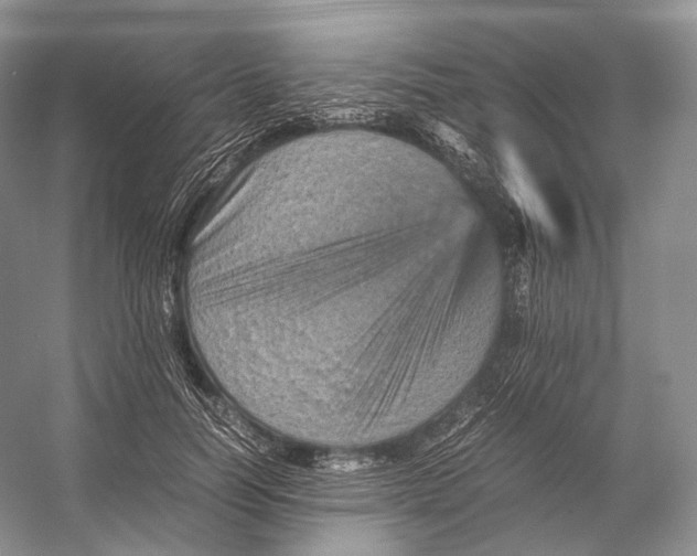 X0000053130746200508081317