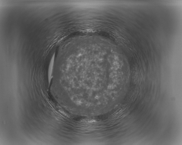 X0000053130747200508081317