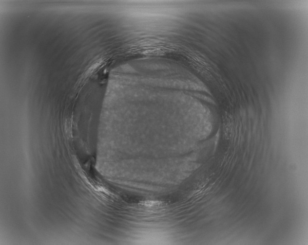 X0000053130748200508081317