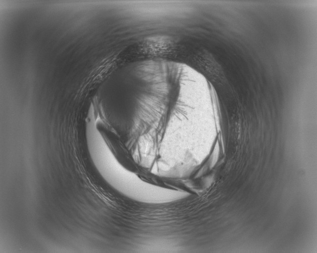 X0000053130750200508081317