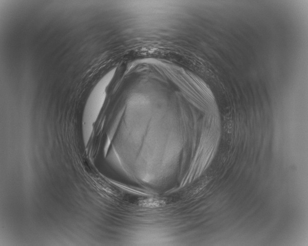 X0000053130754200508081318