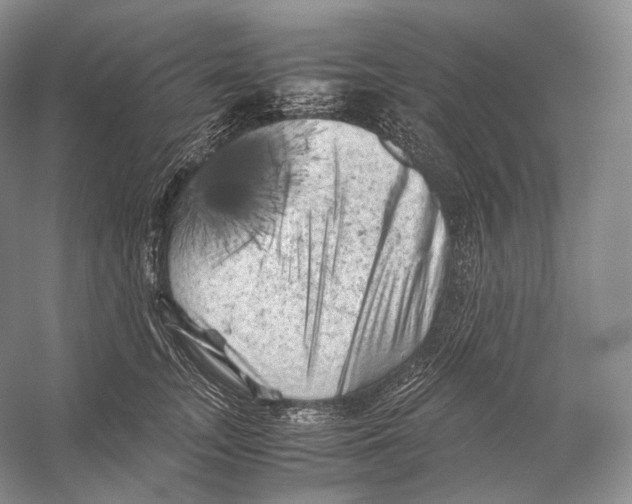 X0000053130755200508081318
