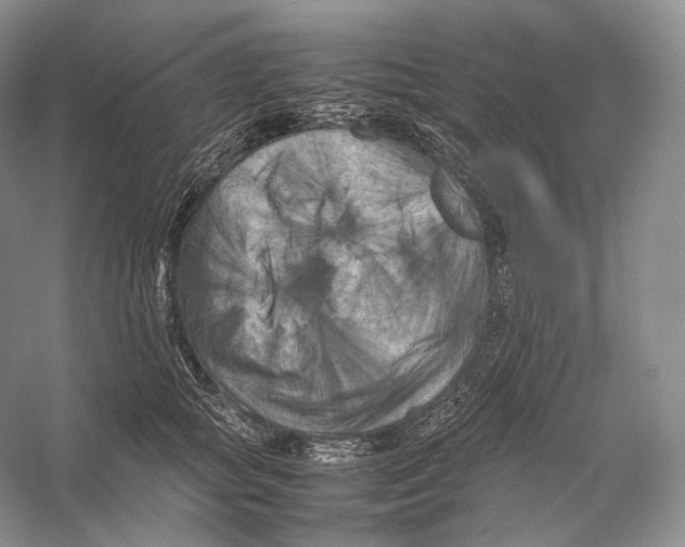 X0000053130757200508081318