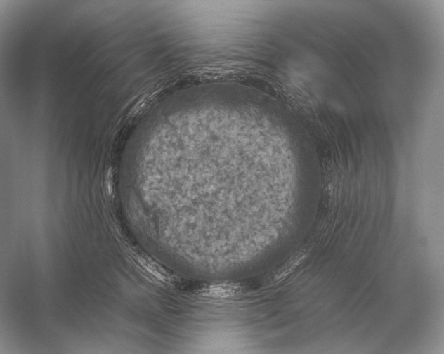 X0000053130758200508081318