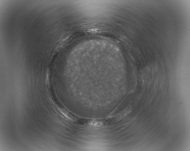 X0000053130760200508081318