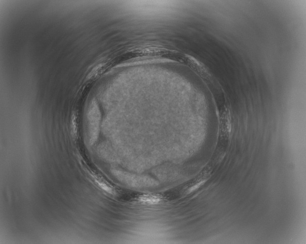 X0000053130762200508081318