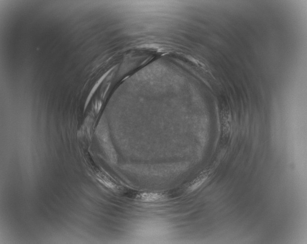 X0000053130766200508081318