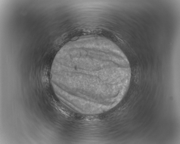 X0000053130770200508081317