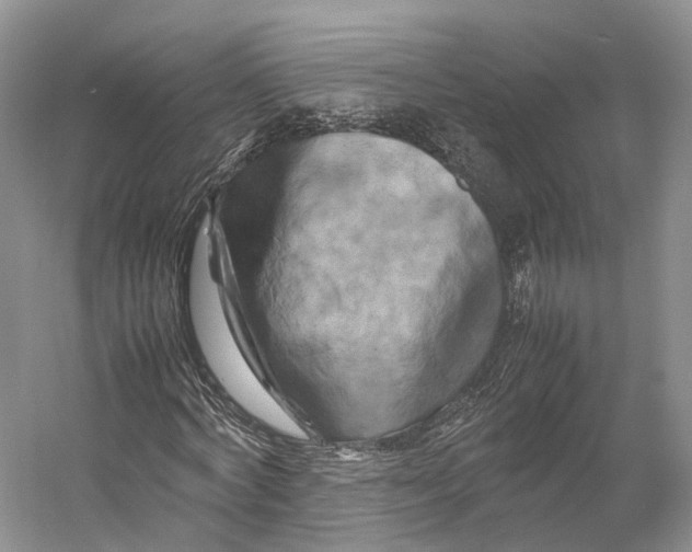 X0000053130772200508081317
