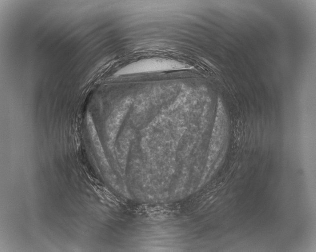 X0000053130774200508081317