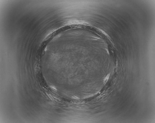 X0000053130775200508081317