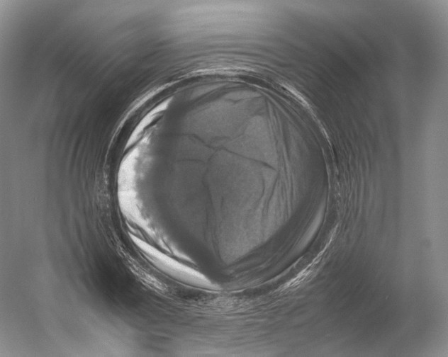 X0000053130779200508081317