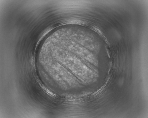 X0000053130780200508081317