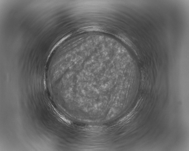 X0000053130782200508081317