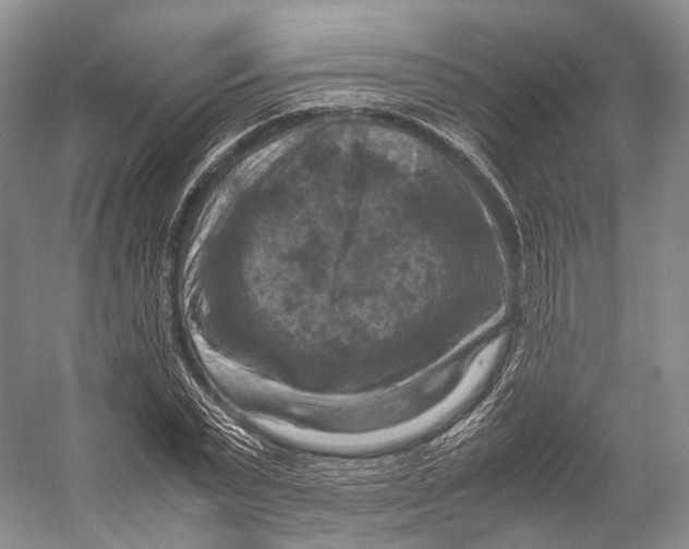 X0000053130783200508081317